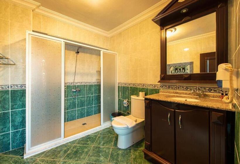 带阳台的三人标准间, Ephesus Centrum