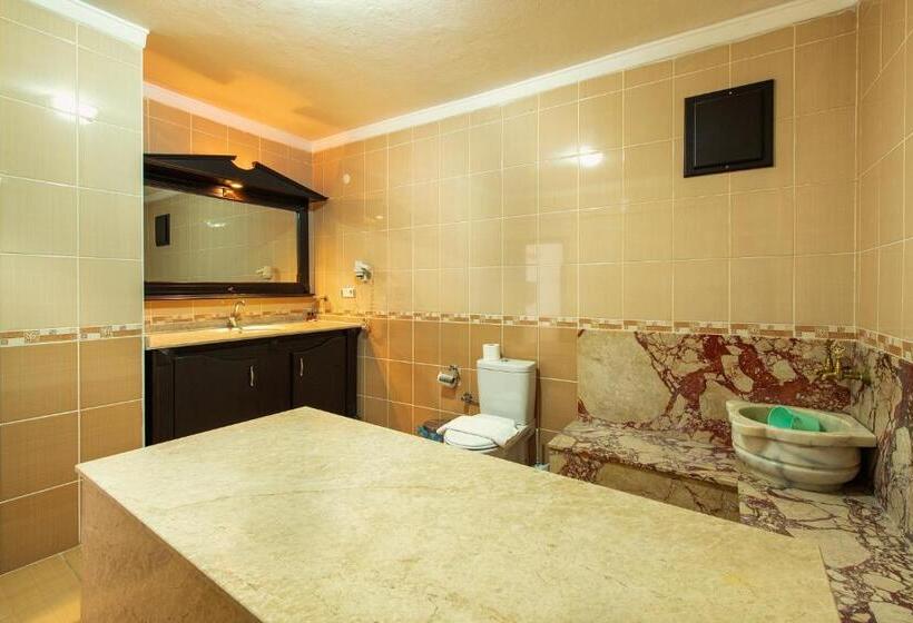 豪华房间, Ephesus Centrum