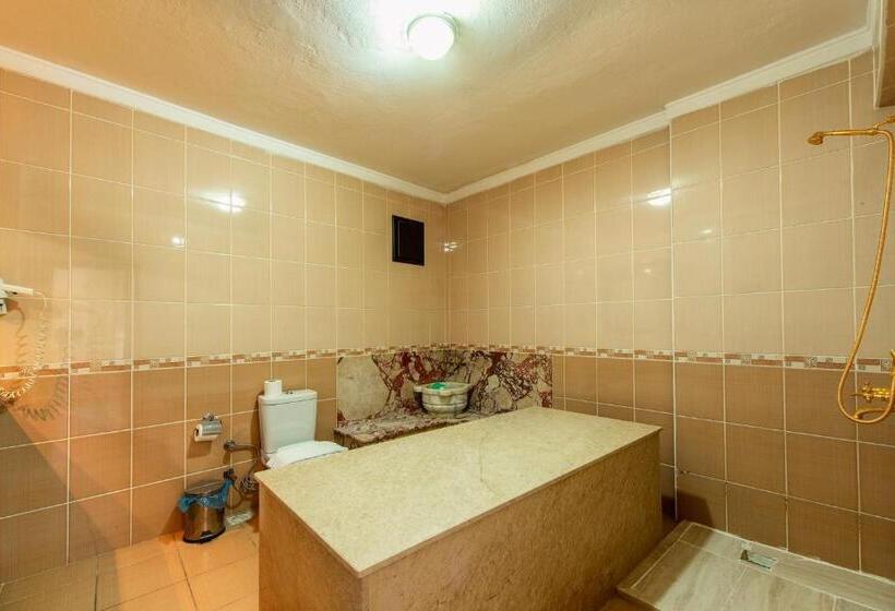 豪华房间, Ephesus Centrum