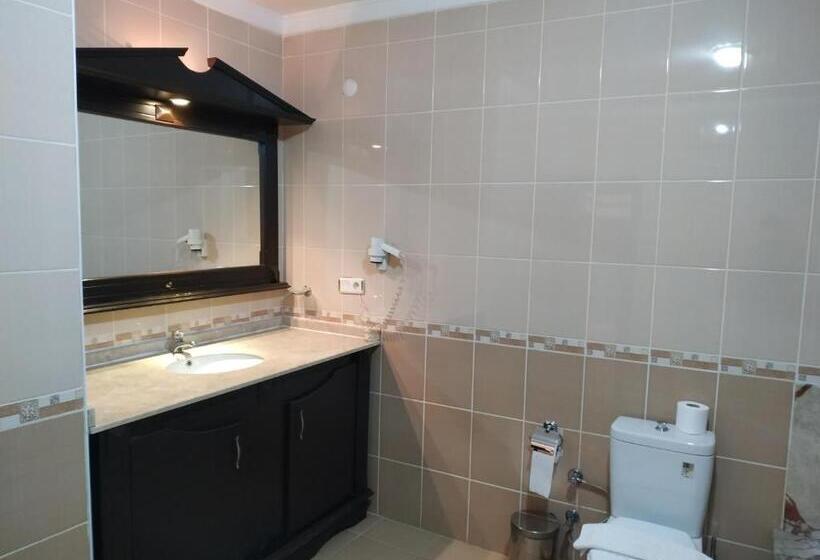 豪华房间, Ephesus Centrum