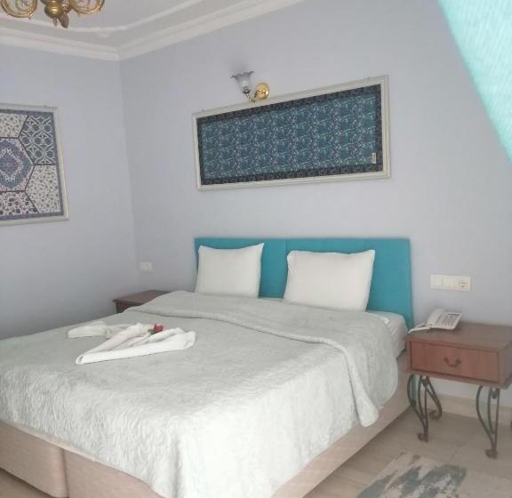 豪华房间, Ephesus Centrum