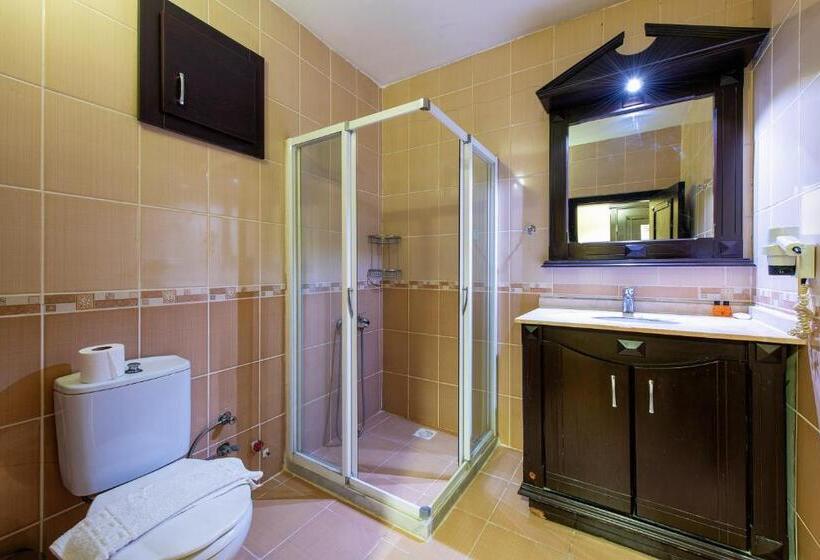 标准三人间, Ephesus Centrum