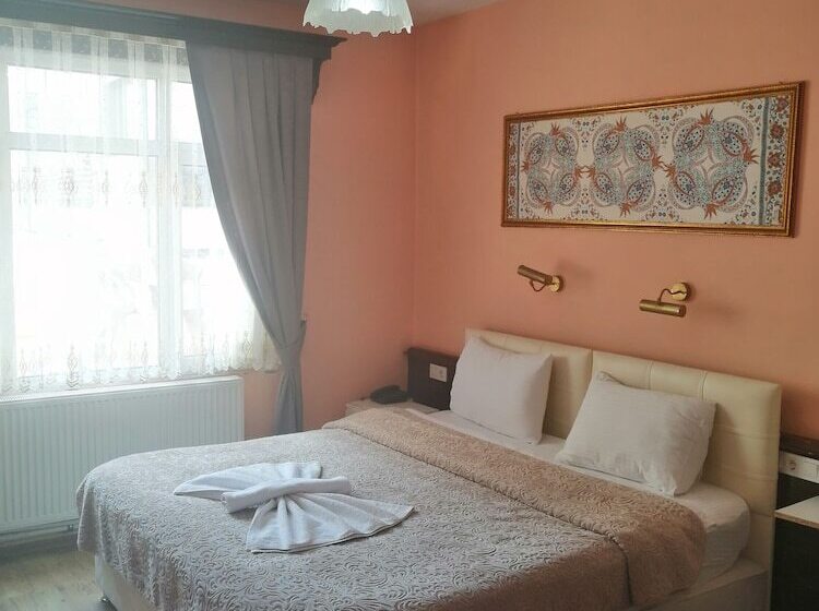 豪华房间, Ephesus Centrum