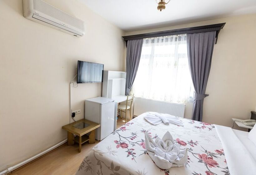 豪华房间, Ephesus Centrum