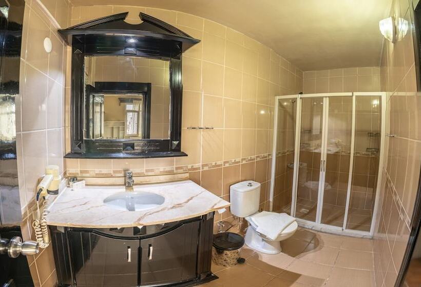 豪华房间, Ephesus Centrum