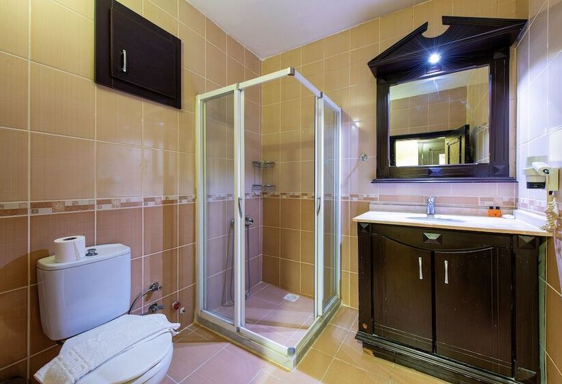 标准三人间, Ephesus Centrum