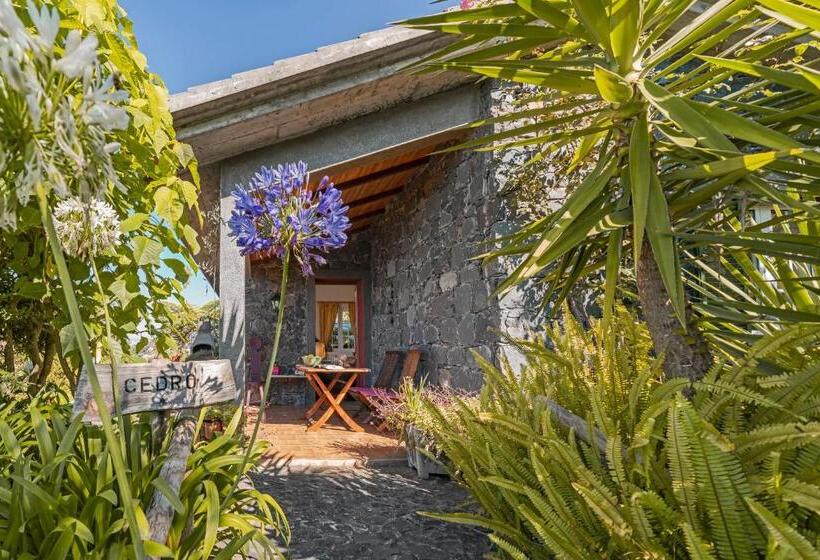 Talo 1 Makuuhuone, Quinta Devónia By An Island Apart