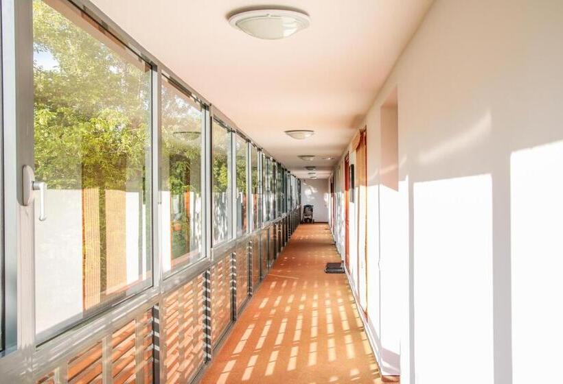 דירה בת חדר שינה 1 עם מרפסת, The Bluedeck Wellness Apartment