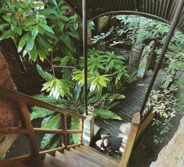 Pokój Ekonomiczny Jednoosobowy, Chill Nasa