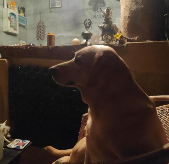 Pokój Ekonomiczny Jednoosobowy, Chill Nasa