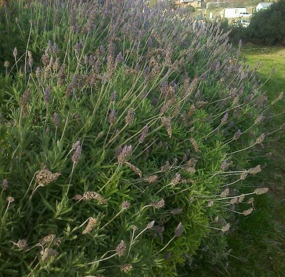 غرفة قياسية, Del Nomade Hosteria Ecologica