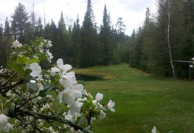 غرفة قياسية, Carlson S Lodge