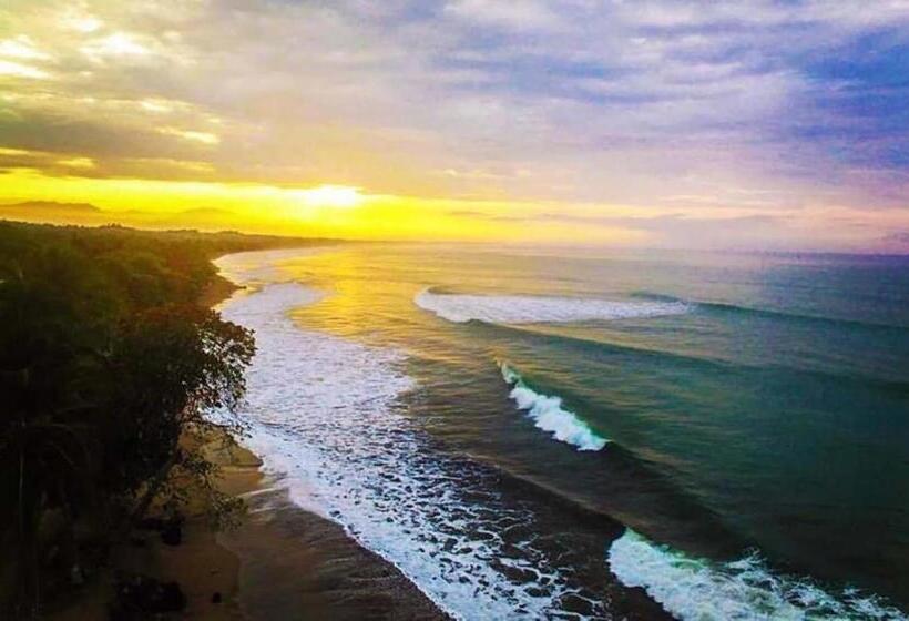 غرفة أساسية, Hermosa Beach House