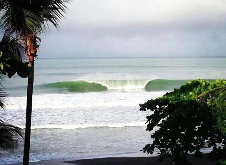 جناح جونيور مطل على الحديقة, Hermosa Beach House