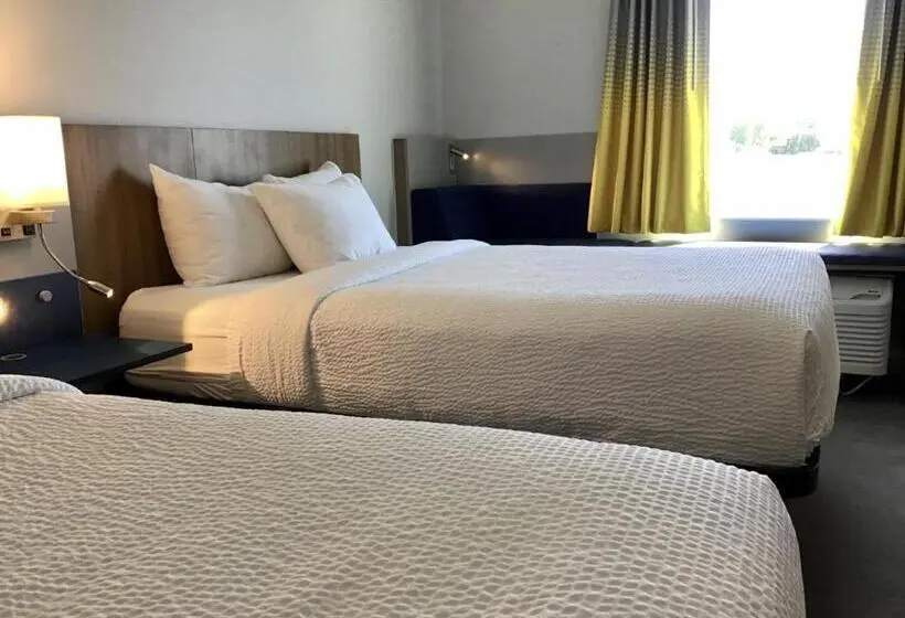 スタンダードルーム, Microtel Inn & Suites By Wyndham George