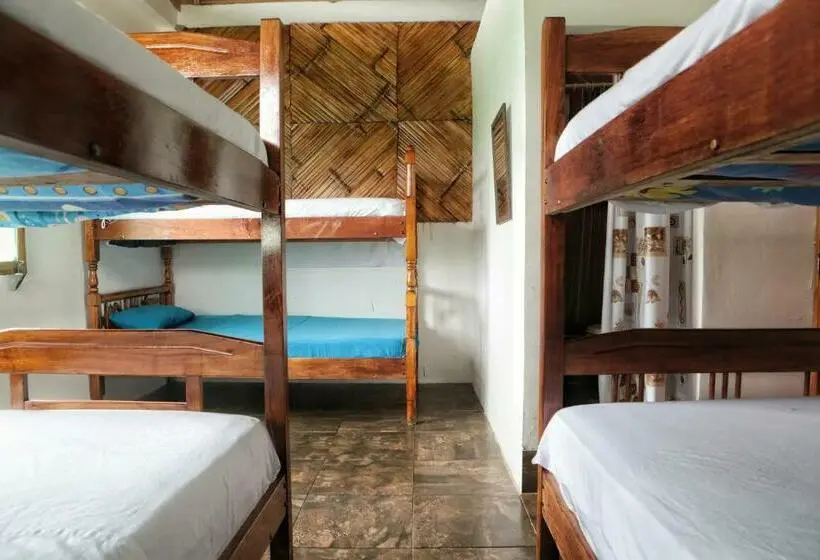ルームシェアのワンベッド, Casa Mafer Lodge
