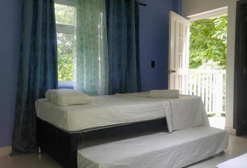 Четырехместный Номер Стандарт, Orange House Downtown