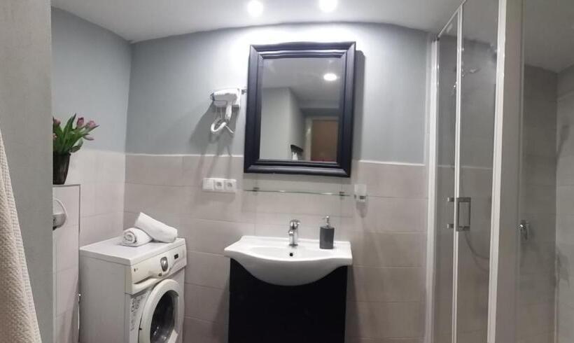 스탠다드 룸 킹사이즈 침대, Penzion David