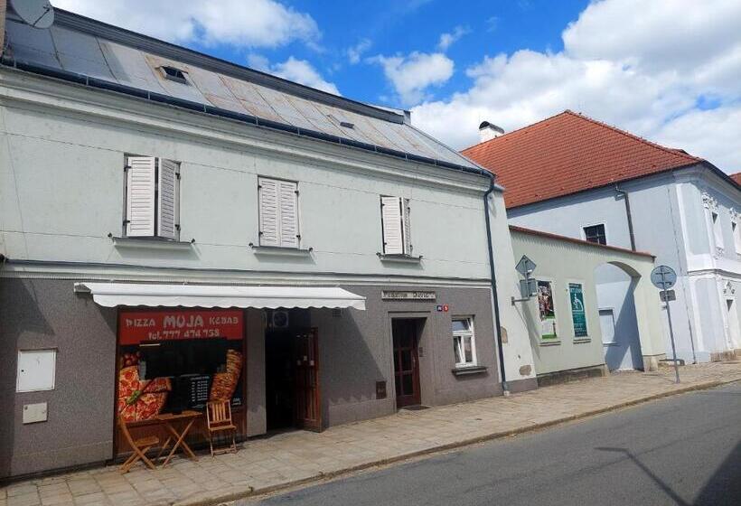 스탠다드 룸 킹사이즈 침대, Penzion David