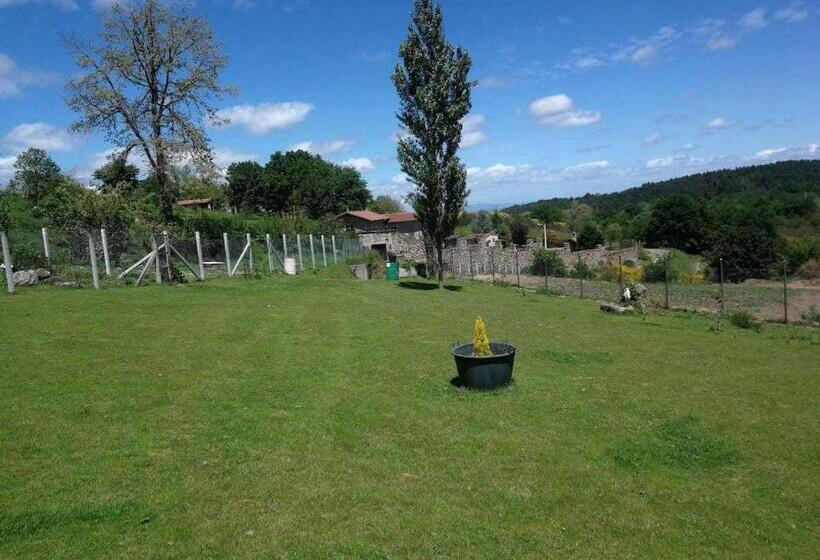 غرفة عائلية, Alcázar Milmanda