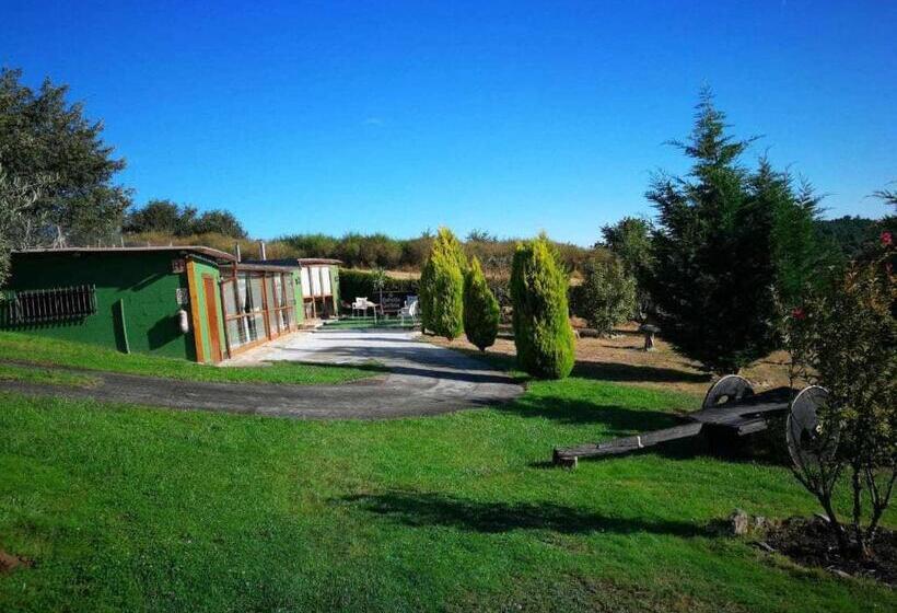 غرفة عائلية, Alcázar Milmanda