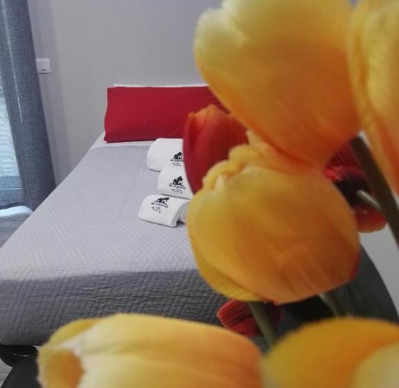 اتاق استاندارد با تراس, B&b Da Lillo