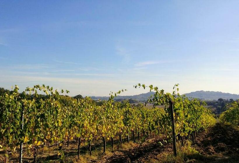 带1个卧室的公寓, Agriturismo San Gregorio