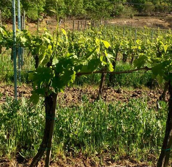 דירת חדר, Agriturismo San Gregorio