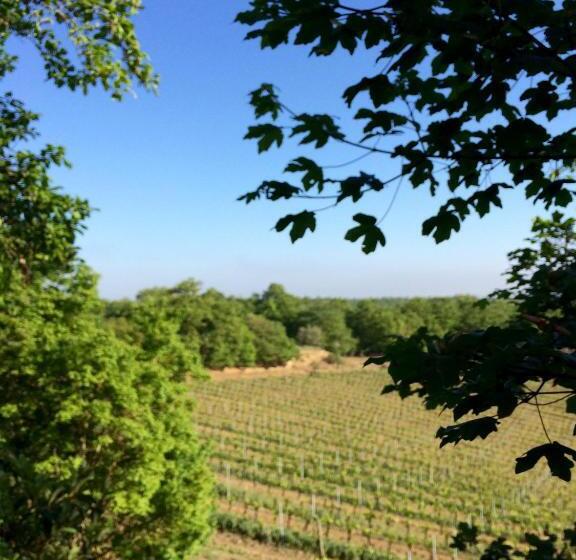 דירת חדר, Agriturismo San Gregorio