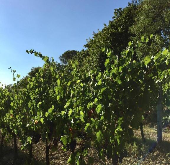 דירת חדר, Agriturismo San Gregorio