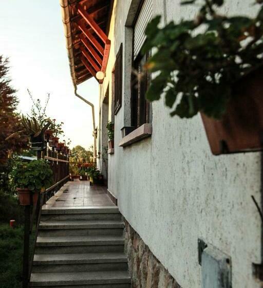 غرفة كومفورت ثلاثية, Anna Hunor