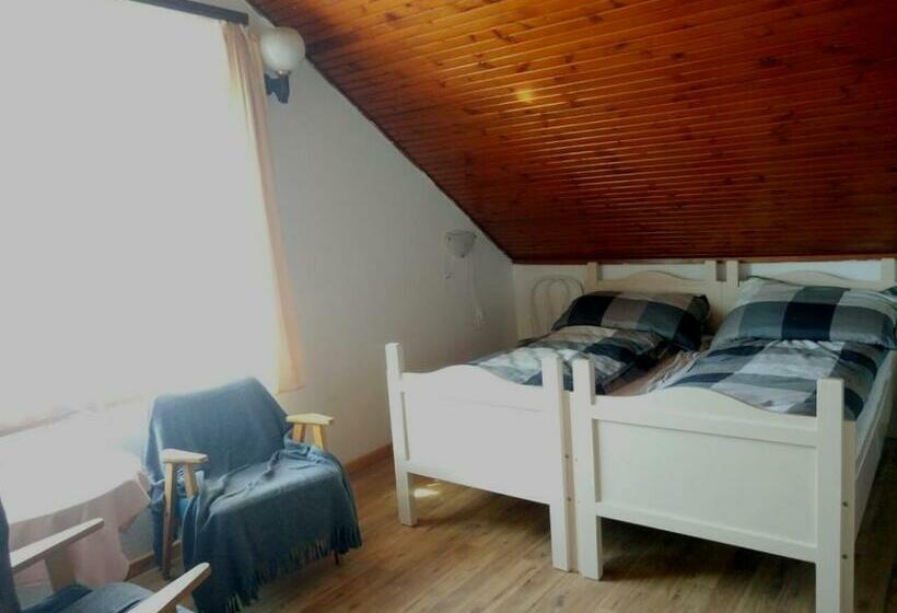 غرفة كومفورت ثلاثية, Anna Hunor