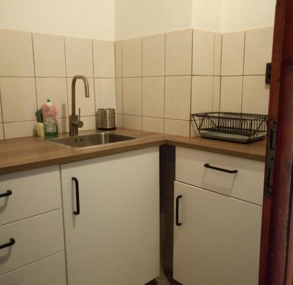 غرفة قياسية, Anna Hunor