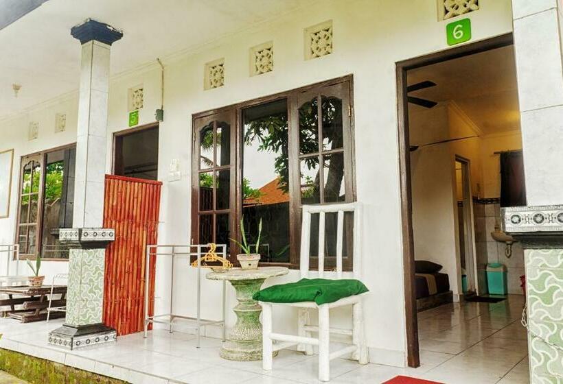 Habitació Deluxe, Kris Kos