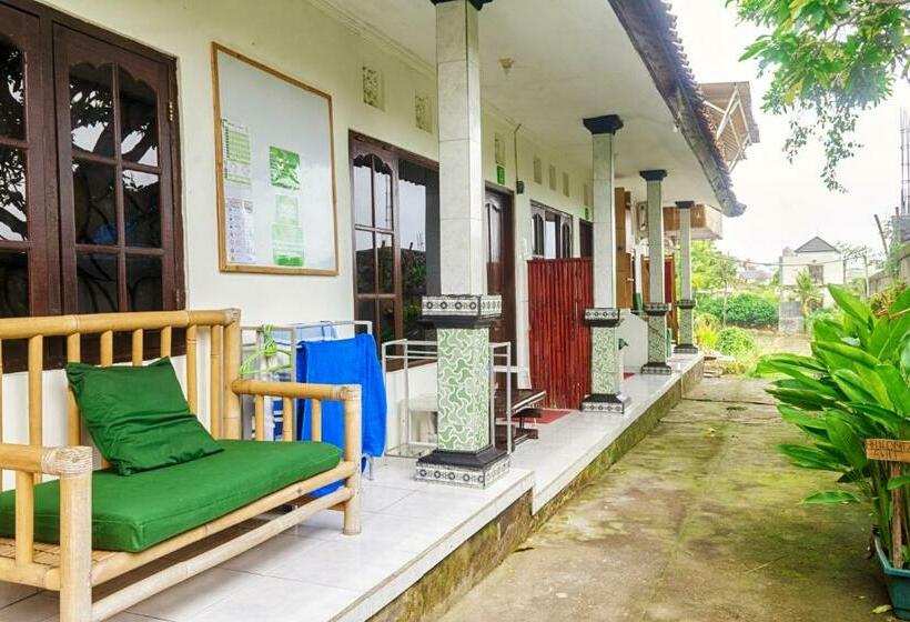 Habitació Deluxe, Kris Kos