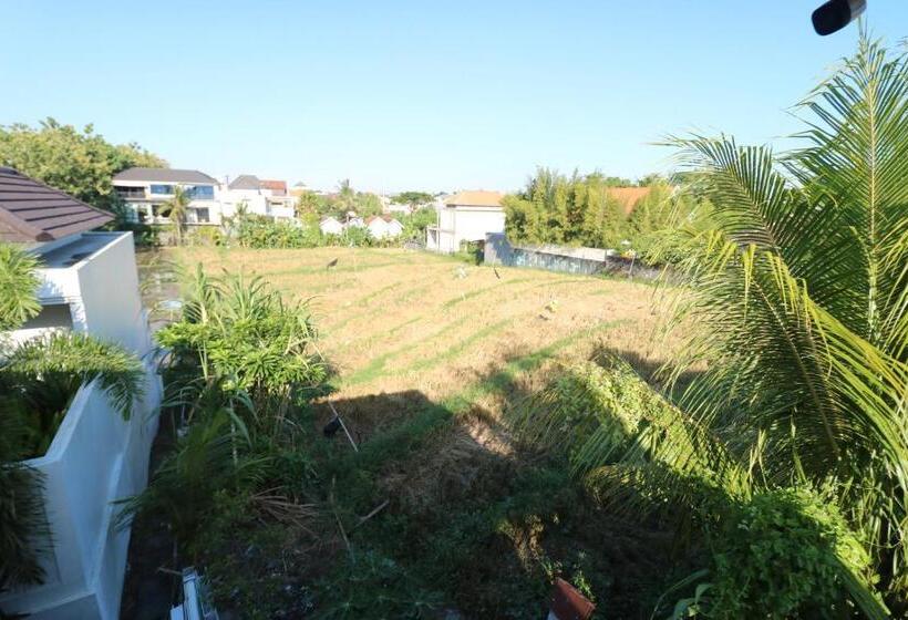 Habitació Deluxe, Kris Kos