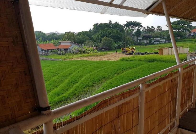 Habitació Economy, Kris Kos