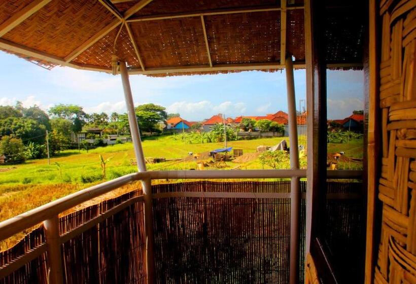 Habitació Economy, Kris Kos