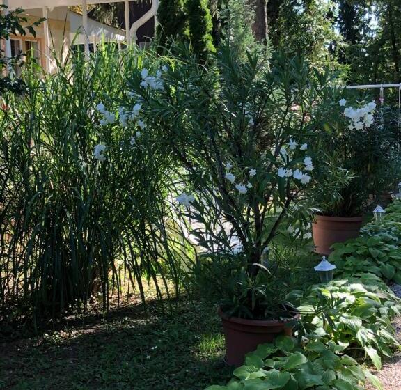 기본룸, Szem S Vendégház