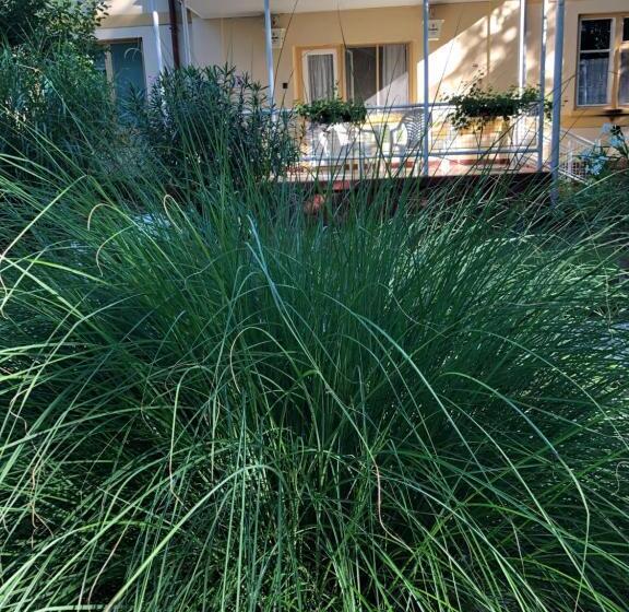 家庭间, Szem S Vendégház