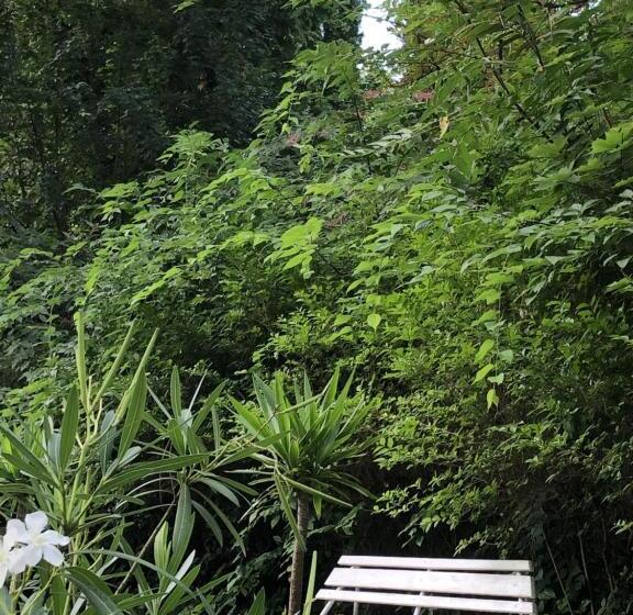 豪华房间, Szem S Vendégház