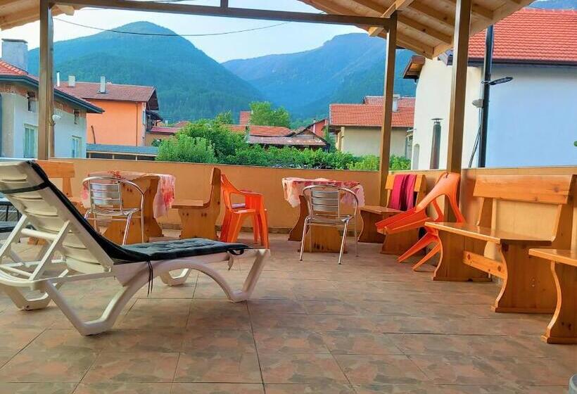 اتاق لوکس, Vibo Guesthouse