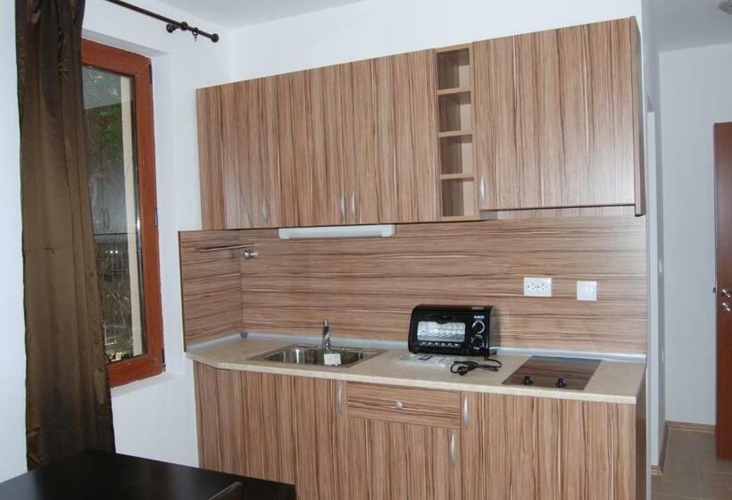 דירת חדר, Vidima Apartment