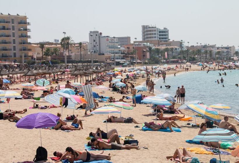 수피리어 룸, Amic Can Pastilla