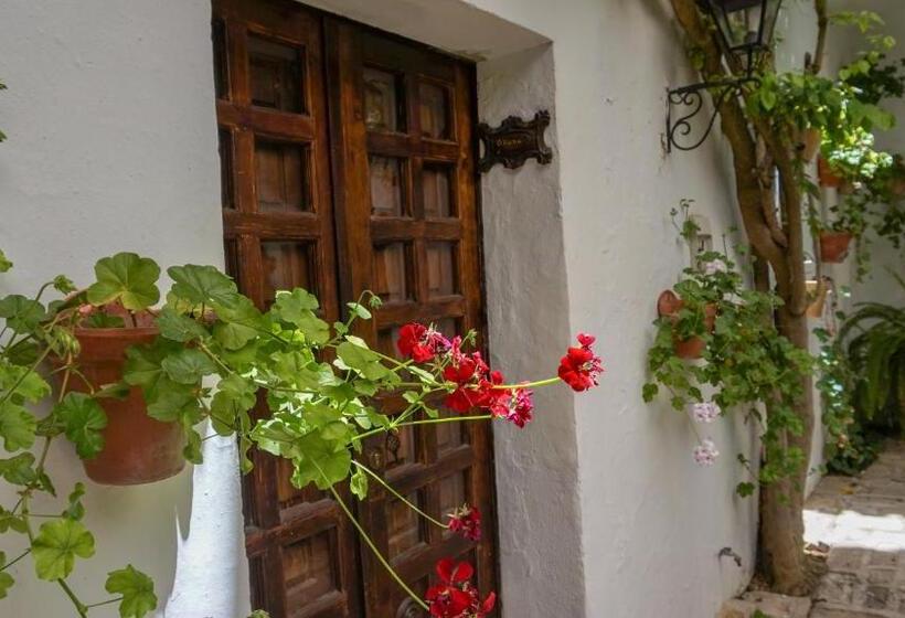 חדר דלוקס, Cortijo El Esparragal