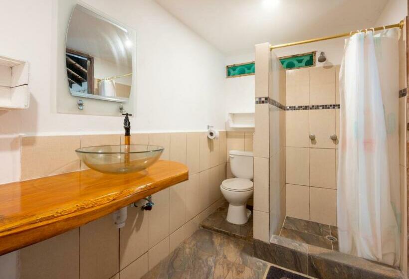 اتاق استاندارد با تخت بزرگ, Casa Del Sol