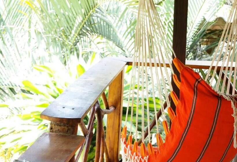 اتاق استاندارد, Casa Del Sol