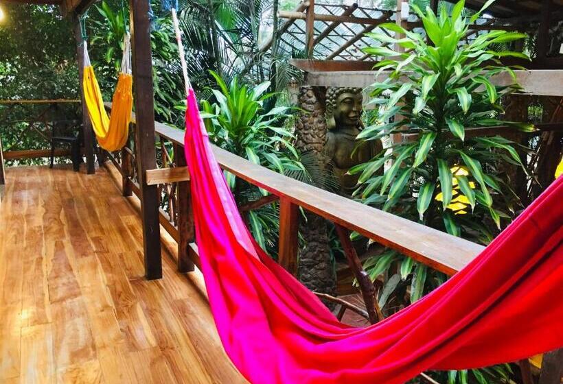 اتاق استاندارد, Casa Del Sol