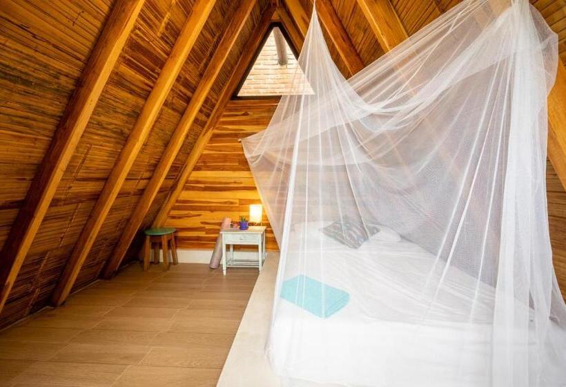 اتاق استاندارد با سرویس بهداشتی مشترک, Casa Del Sol