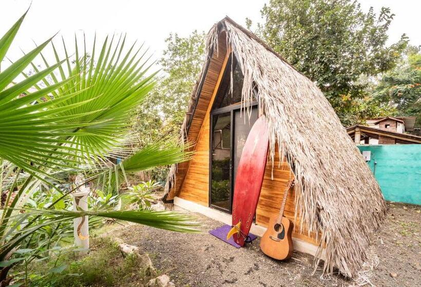 اتاق استاندارد با سرویس بهداشتی مشترک, Casa Del Sol